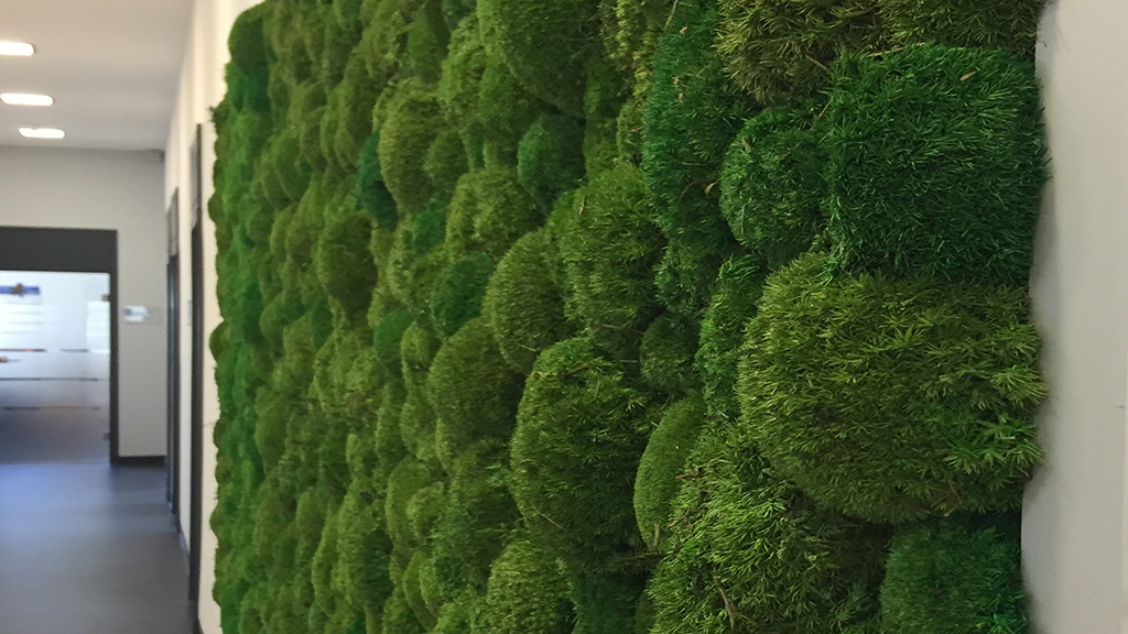 Grüne Wände und Vertikale Begrünung